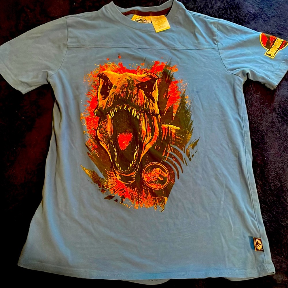 Boys Jurassic park tee